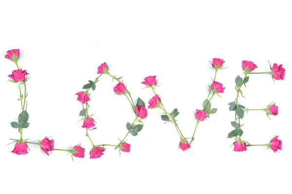 Word LOVE — Stock Photo, Image