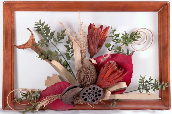 Still-life of dried plants — Stock Photo, Image