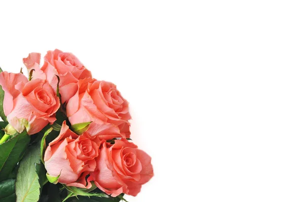Ramo de rosas —  Fotos de Stock