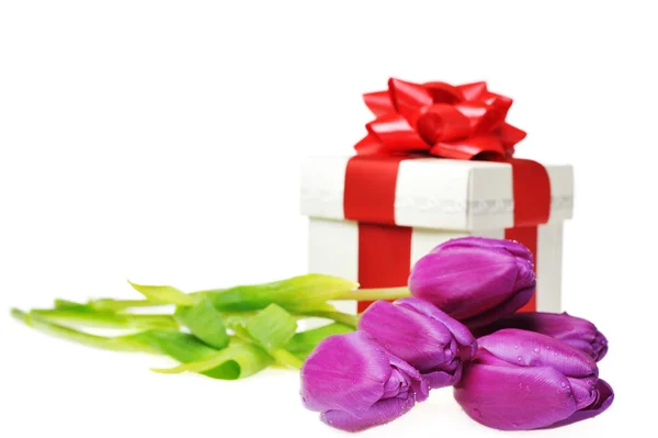 Tulipanes y caja regalo — Foto de Stock