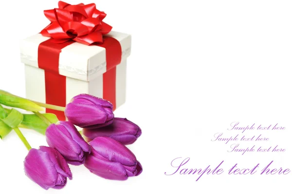 Tulips and gift box — Stock Photo, Image