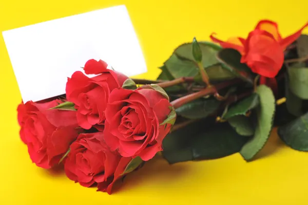 Rosas vermelhas bonitas com cartão de nome — Fotografia de Stock