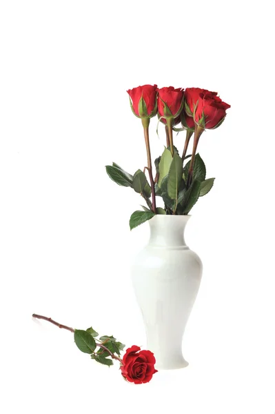 Rose in vaso — Foto Stock