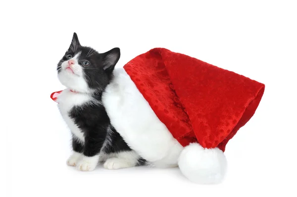 Roztomilý kotě s kloboukem santas — Stock fotografie