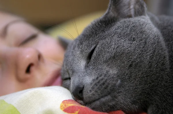 Katt och flicka sova — Stockfoto