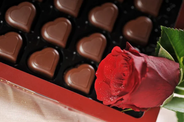 Chocolade en rood roze — Stockfoto