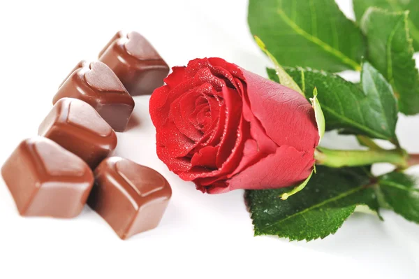Chocolade en rood roze — Stockfoto