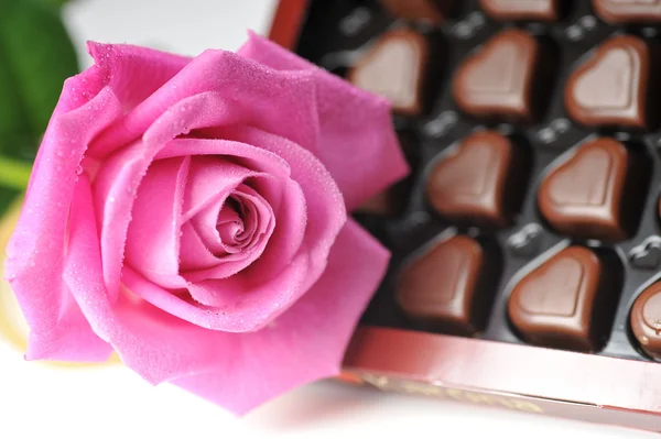 Chocolate and pink rose — Stock Photo, Image