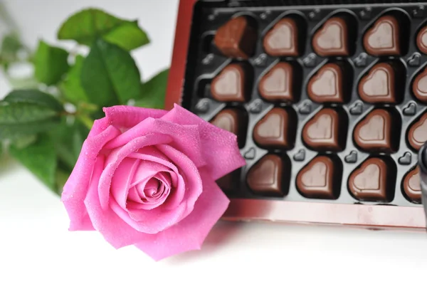Csokoládé és Rózsa — Stock Fotó