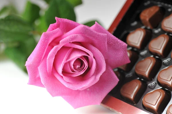 Chocolate y rosa rosa — Foto de Stock