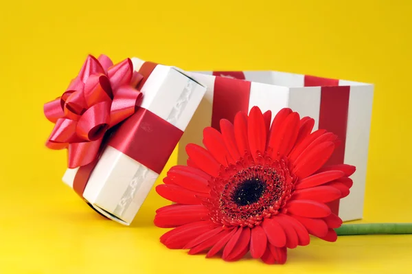 Открытая подарочная коробка и красный цветок — стоковое фото