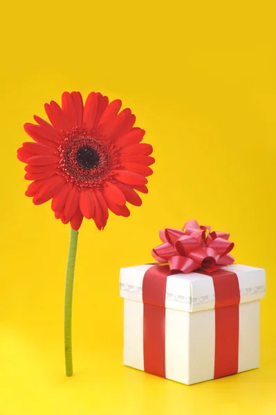 Gift and red flower — Stock Photo, Image