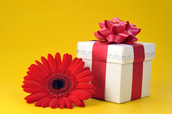 Cadeau et fleur rouge — Photo