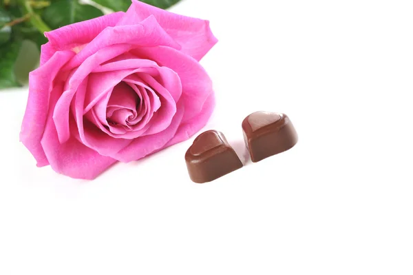 Роза и шоколад — стоковое фото