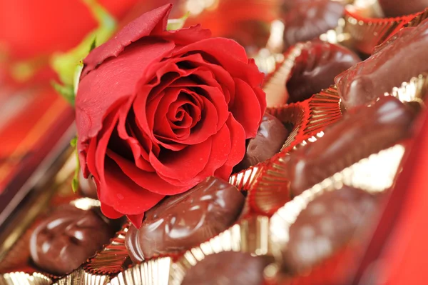 Chocolates and rose on red — Stock Photo, Image