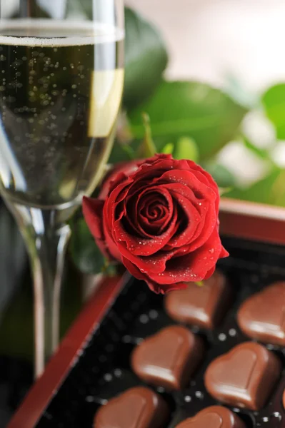 シャンパンと赤いバラ — ストック写真