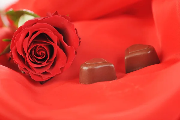 Vörös rózsa, csokoládé — Stock Fotó