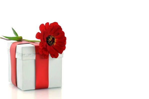 Presente com fita vermelha e flor — Fotografia de Stock