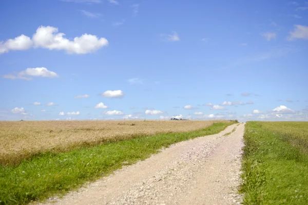 Paisagem de verão com nuvens prado e uma estrada — Fotografia de Stock