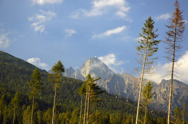 Dağ Tepesi — Stok fotoğraf
