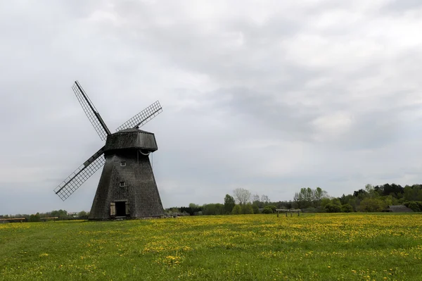 Old mill at dandelion field — Stock Photo, Image