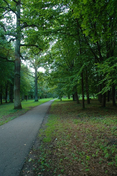 Estrada no parque — Fotografia de Stock