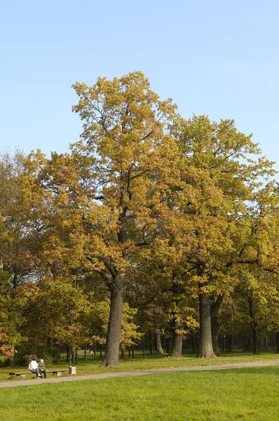 가을 공원 — 스톡 사진