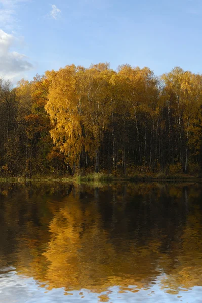 Autumn forest reflected in lake — Stock Photo, Image
