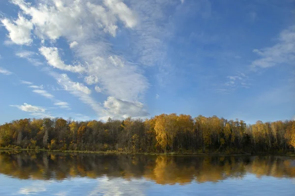 Skog avspeglas i sjön — Stockfoto