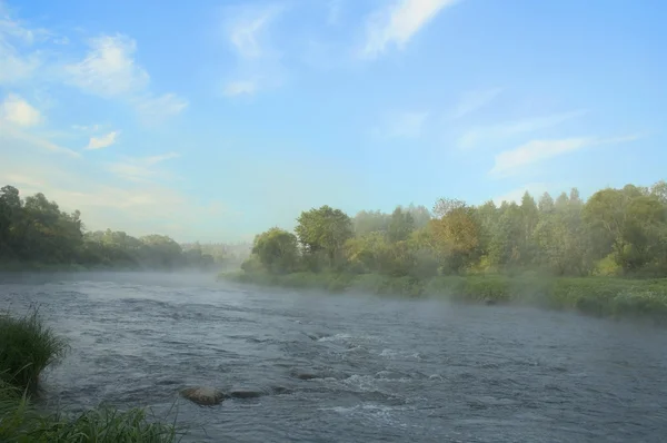 Tôt le matin sur la rive de la rivière — Photo