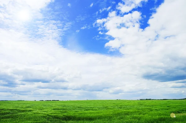 Summer landscape with sky — Stock Photo, Image