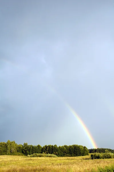Regenbogen auf dem Feld — Stockfoto