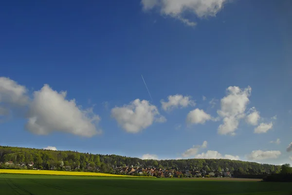 Летний пейзаж под голубым небом — стоковое фото