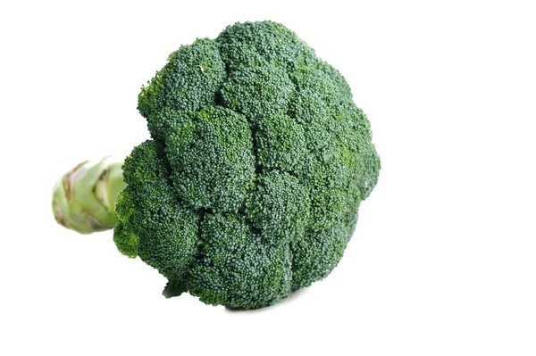Satu brokoli hijau — Stok Foto