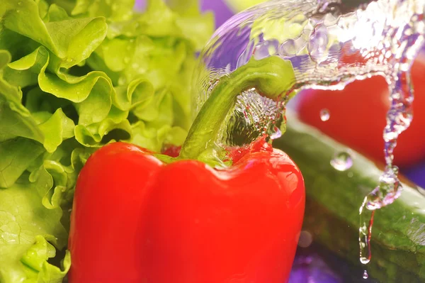 Tomatoes, cucumber and splashes — Stock Photo, Image