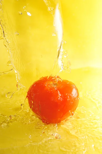 Tomato and water splashes — Stock Photo, Image