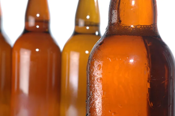 Beer bottles — Stock Photo, Image