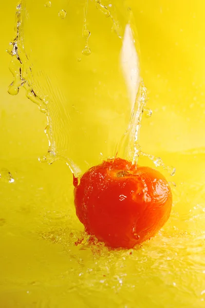 Tomat och vatten stänk — Stockfoto