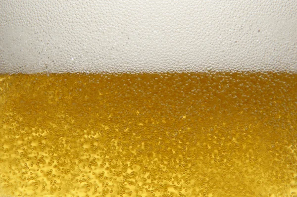 啤酒与杯 — 图库照片