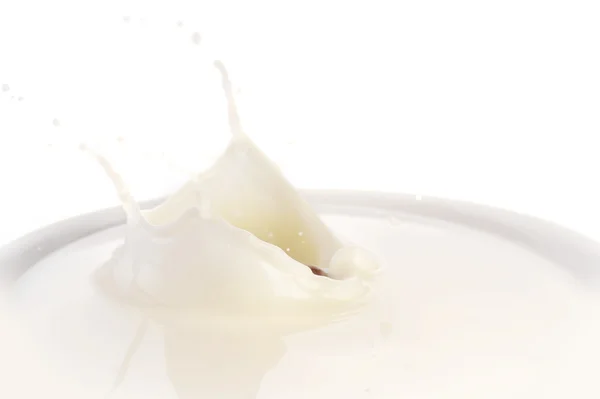 Tallrik med mjölk — Stockfoto