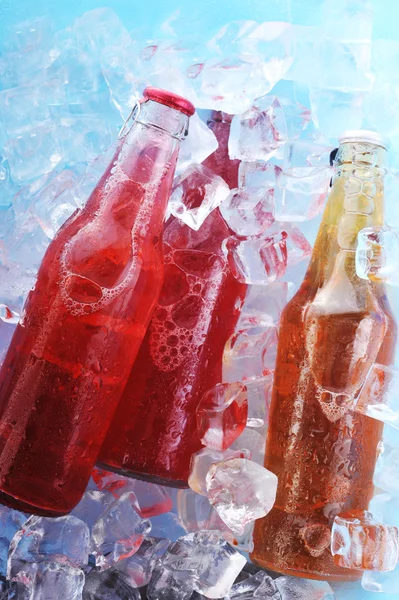 Içki şişeleri — Stok fotoğraf