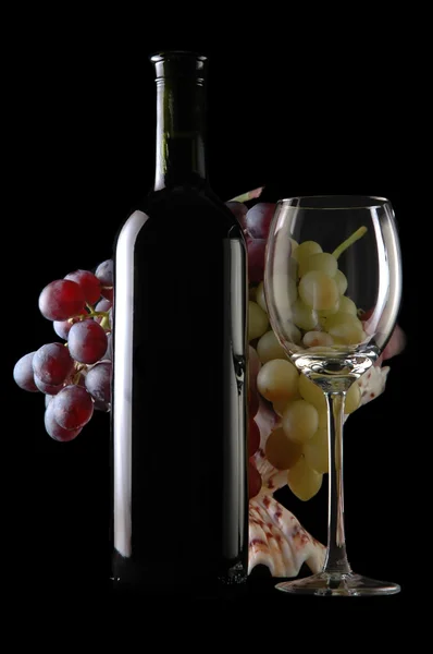 Różne winogron — Zdjęcie stockowe