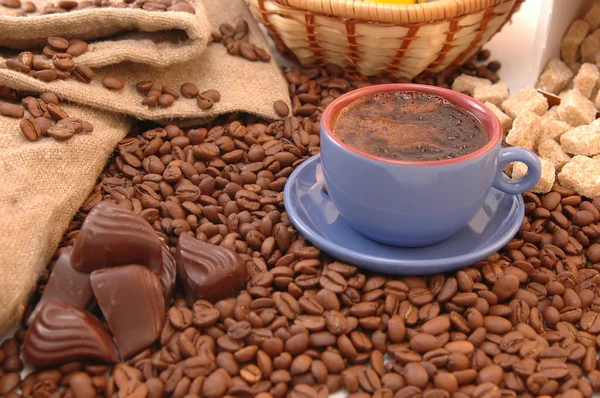 Kávová zrna, cukr a pohár — Stock fotografie