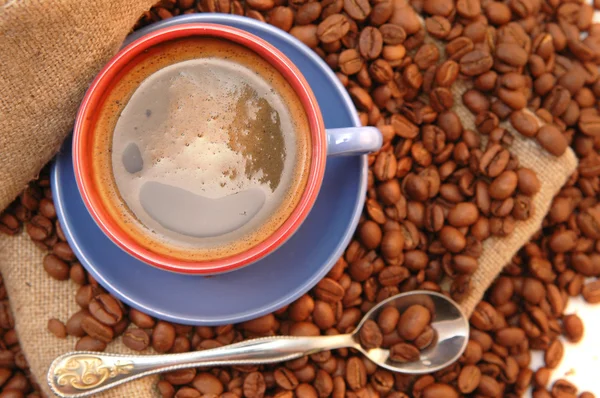 Kávová zrna šálek s kávou a lžíce — Stock fotografie
