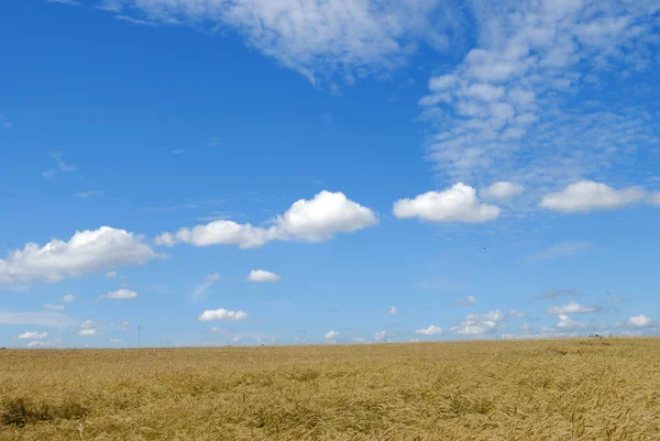 Landschap onder blauwe lucht Stockfoto