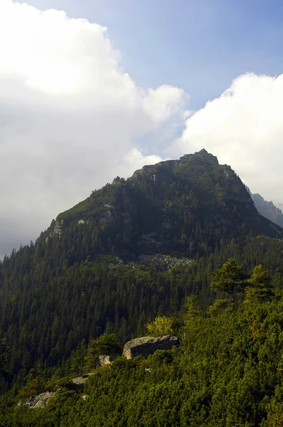 Vuoristohuippu tekijänoikeusvapaita valokuvia kuvapankista