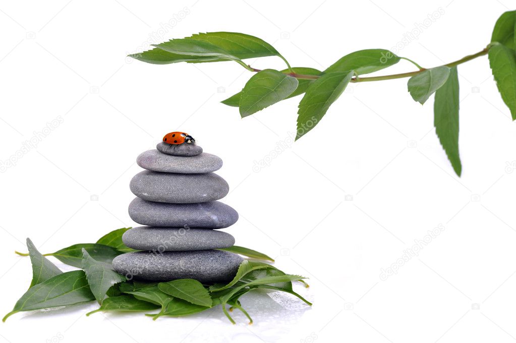 Stones and green leaves