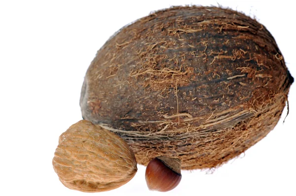 Кокос, грецкий орех, фундук — стоковое фото