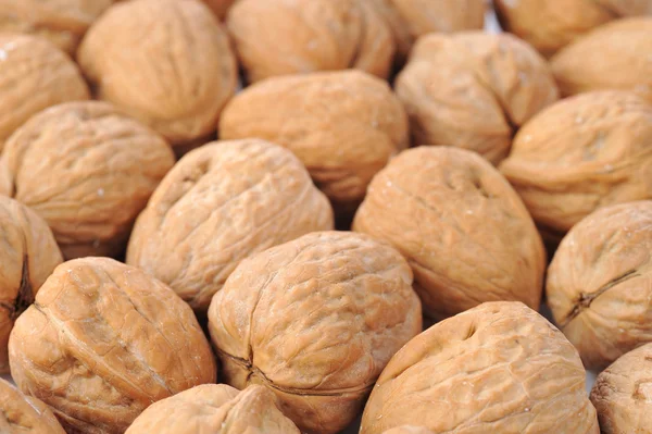 Mnoho ořechy zblízka — Stock fotografie