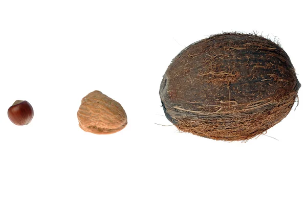 Cocosnoot, walnoten, hazeknut — Stockfoto